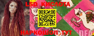 крисы Кунгур