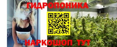 крисы Кунгур