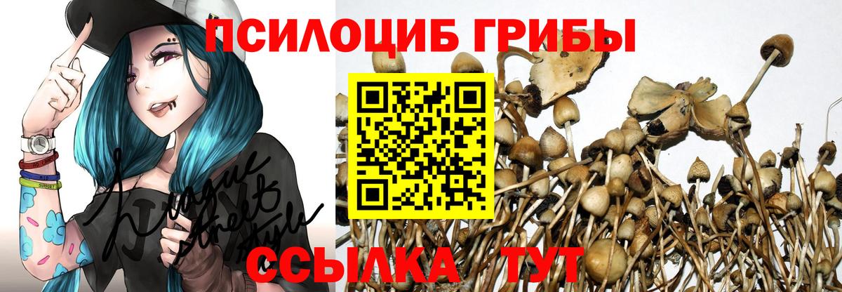 Егорьевск  Галлюциногенные грибы мухоморы  купить   Вход с VPN 